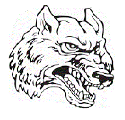 South Central Timberwolves